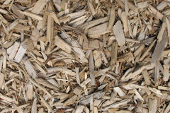 biomass boilers Woodnesborough